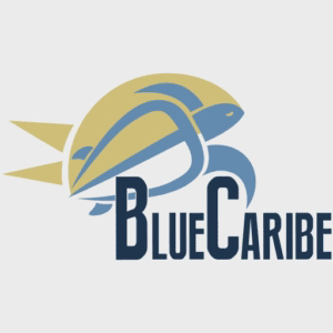 Blue Caribe Tours